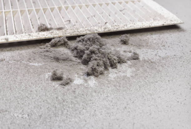 Best Best Air Duct Cleaning Company  in Governors Village, NC