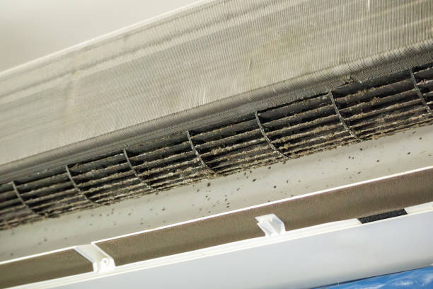Best Home Air Vent Cleaning  in Governors Village, NC